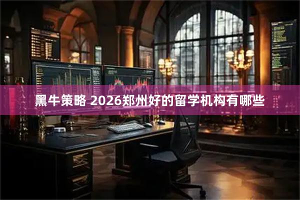 黑牛策略 2026郑州好的留学机构有哪些